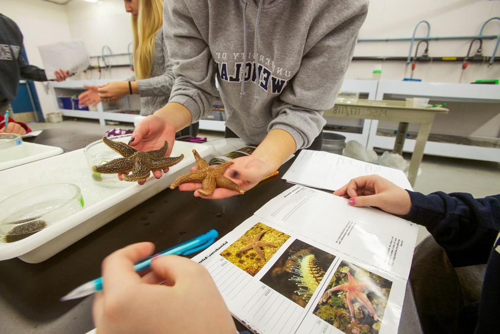 Marine 科学 student holding a starfish